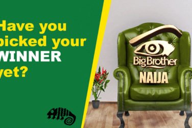 Big Brother Naija Updates With Sponsor Bet9ja's latest odds on who will win